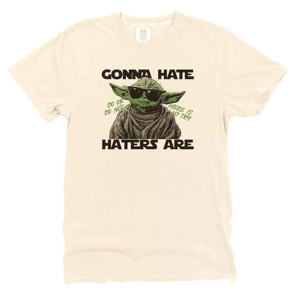 Gonna Hate Haters Are