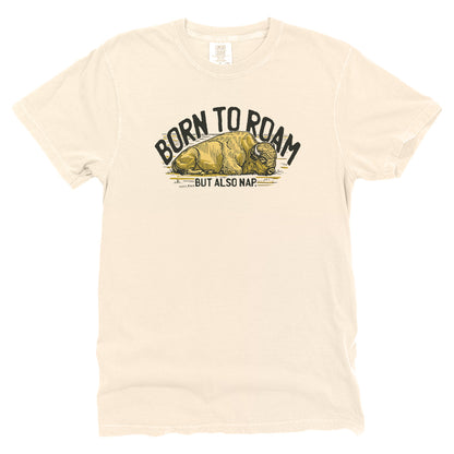 Born to Roam and Nap