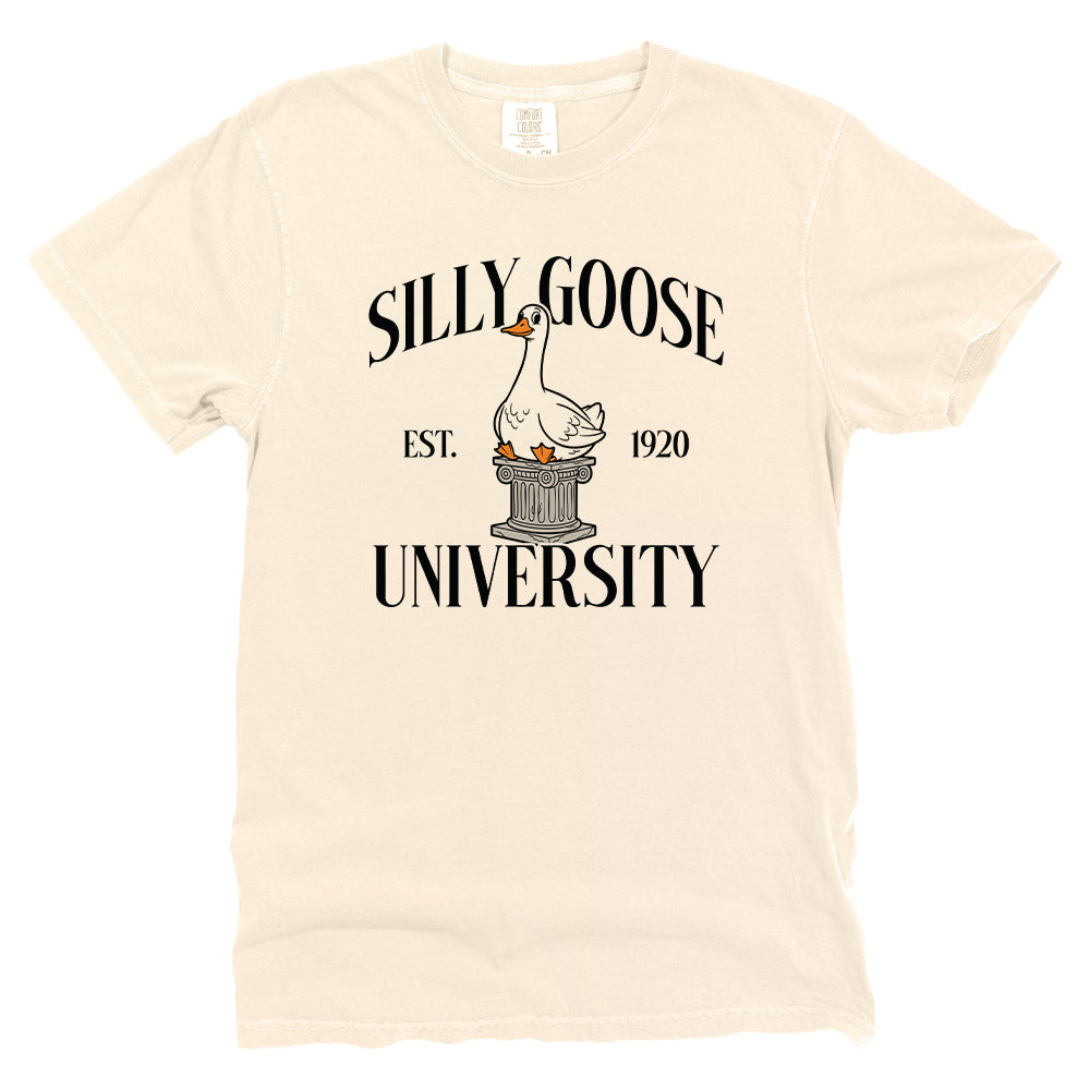Silly Goose University