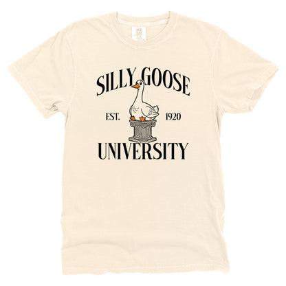 Silly Goose University