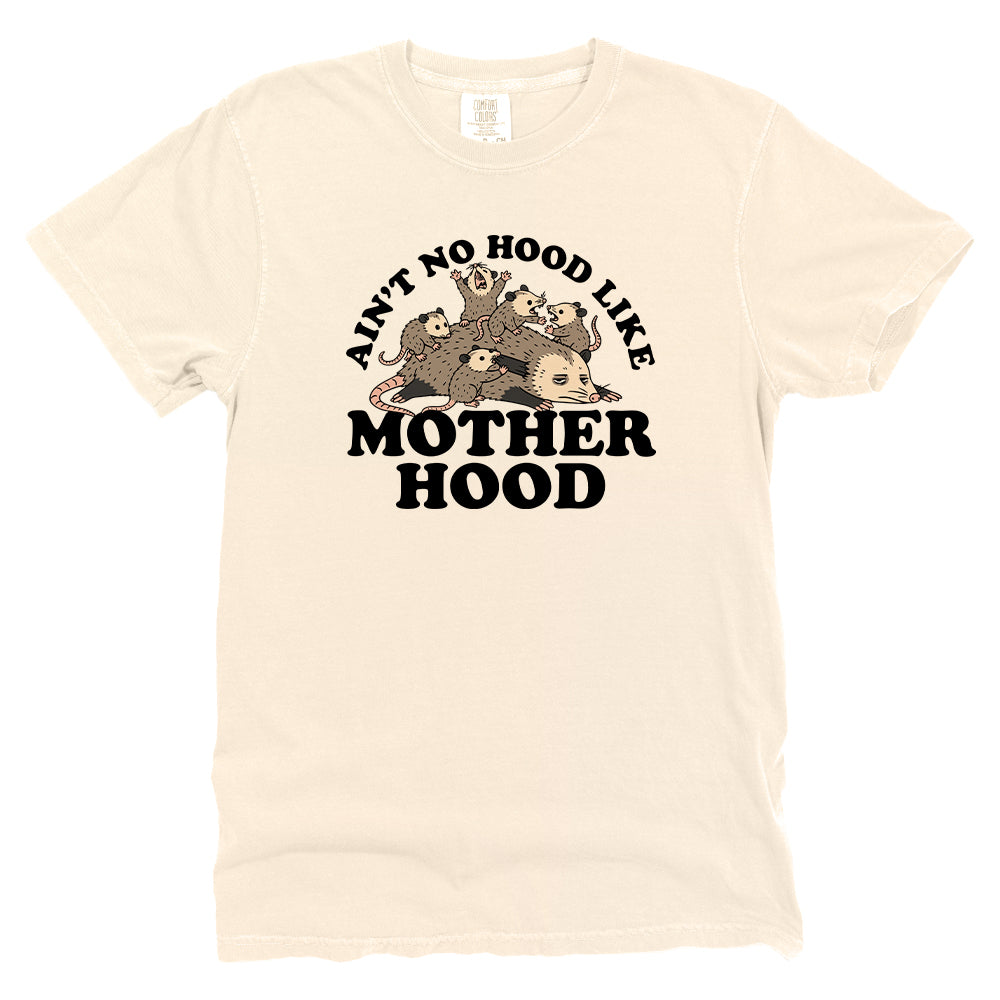 Ain't No Hood Like Motherhood
