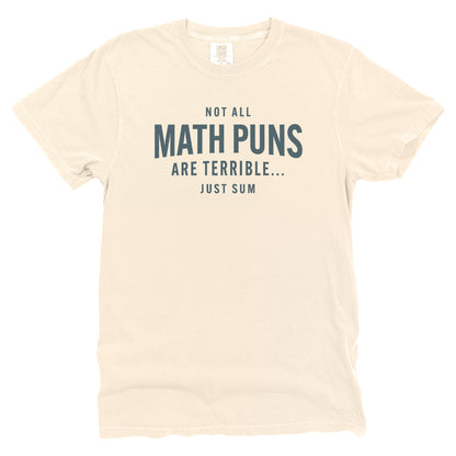 Not All Math Puns Are Terrible Just Sum