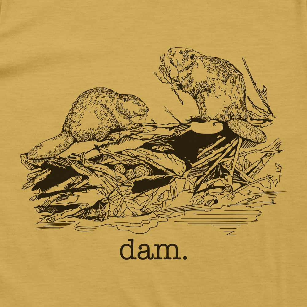 Dam Beaver