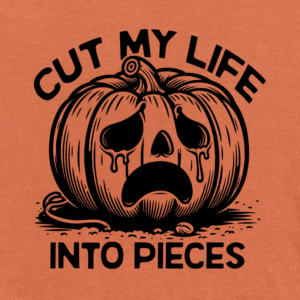 Cut My Life Into Pieces