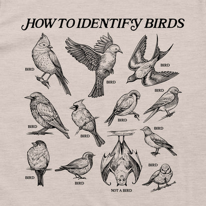 How to Identify Birds