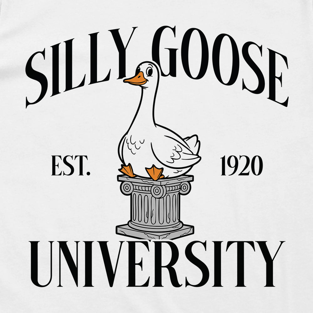 Silly Goose University