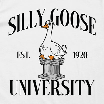 Silly Goose University