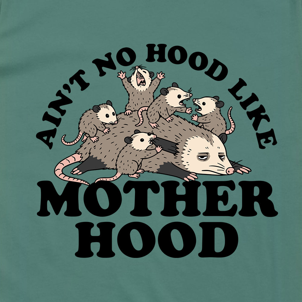 Ain't No Hood Like Motherhood