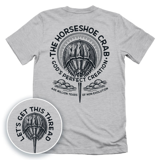 God's Perfect Creation The Horseshoe Crab