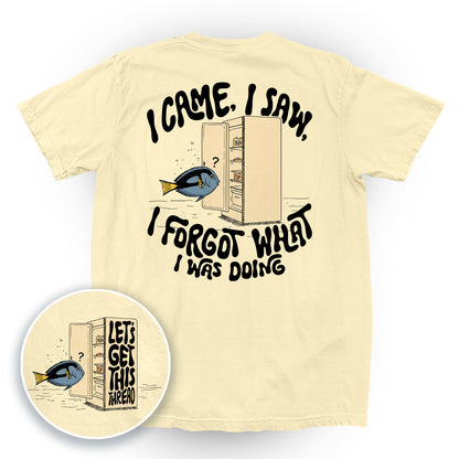 I Came I Saw I Forgot What I Was Doing