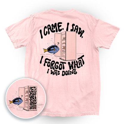 I Came I Saw I Forgot What I Was Doing