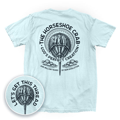 God's Perfect Creation The Horseshoe Crab
