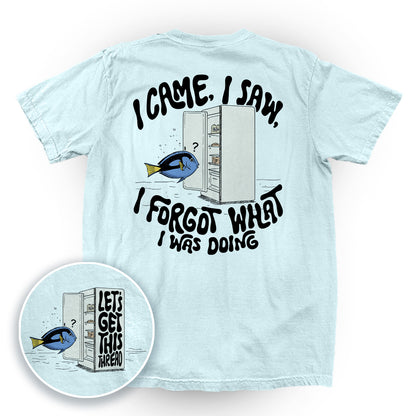 I Came I Saw I Forgot What I Was Doing