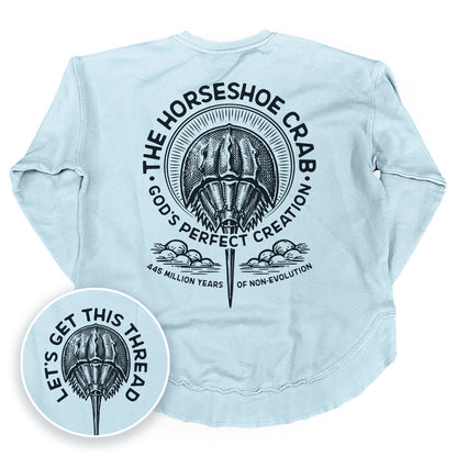 God's Perfect Creation The Horseshoe Crab