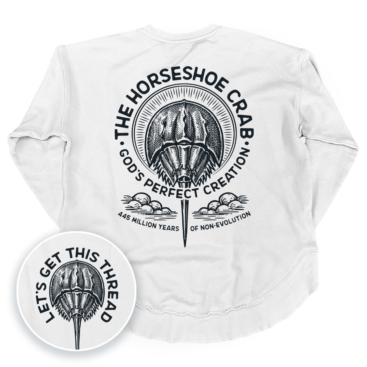 God's Perfect Creation The Horseshoe Crab