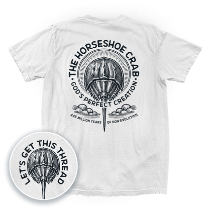 God's Perfect Creation The Horseshoe Crab