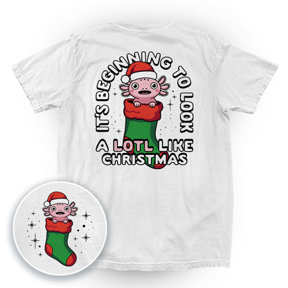 It's Beginning To Look a Lotl Like Christmas
