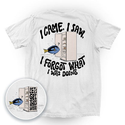 I Came I Saw I Forgot What I Was Doing