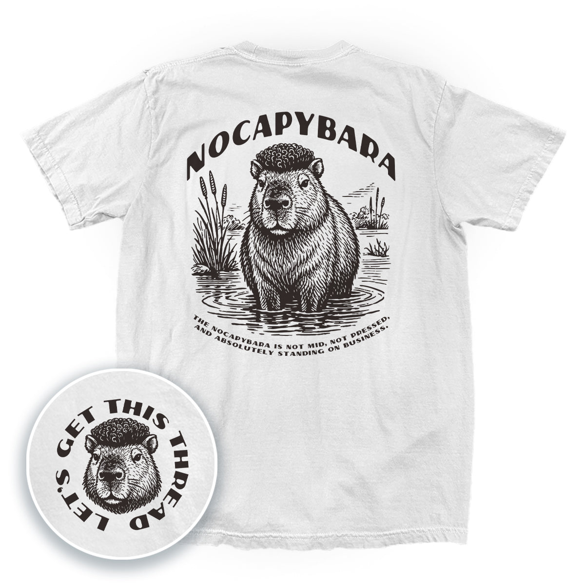 Nocapybara