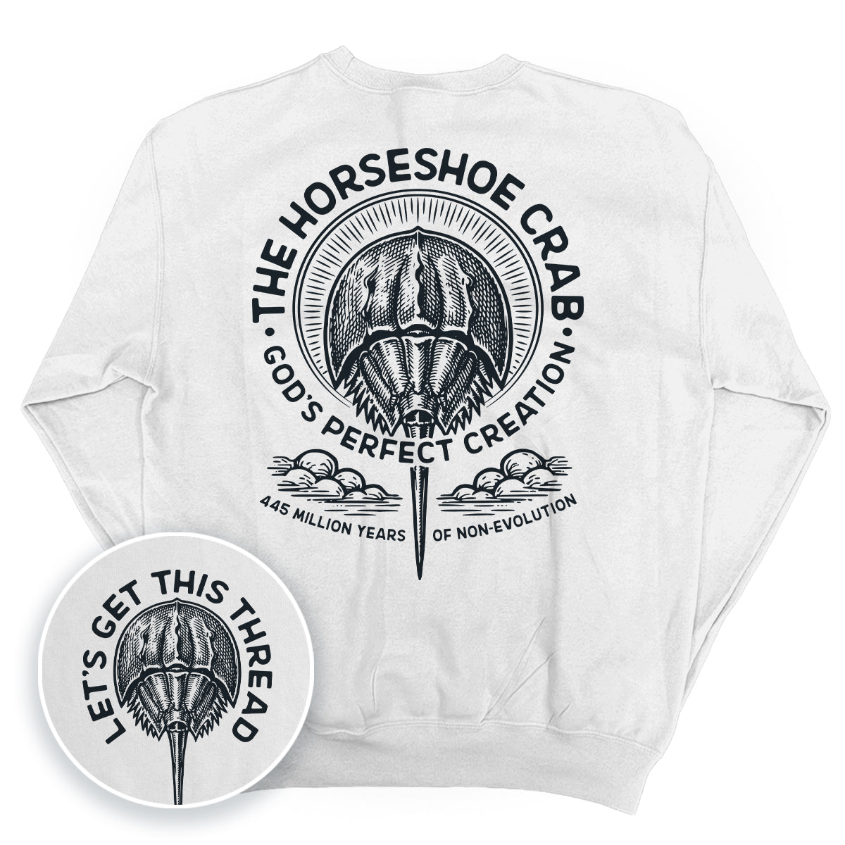 God's Perfect Creation The Horseshoe Crab