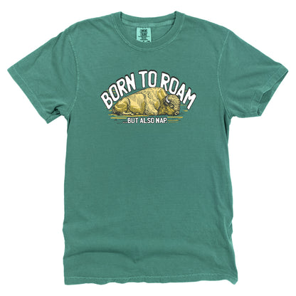 Born to Roam and Nap