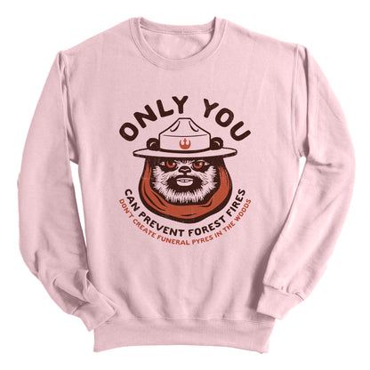 Only You Can Prevent Forest Fires Ewok