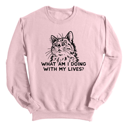 What Am I Doing With My Lives?