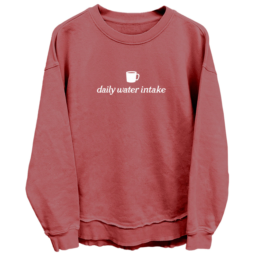 Daily Water Intake