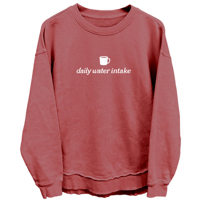 Daily Water Intake