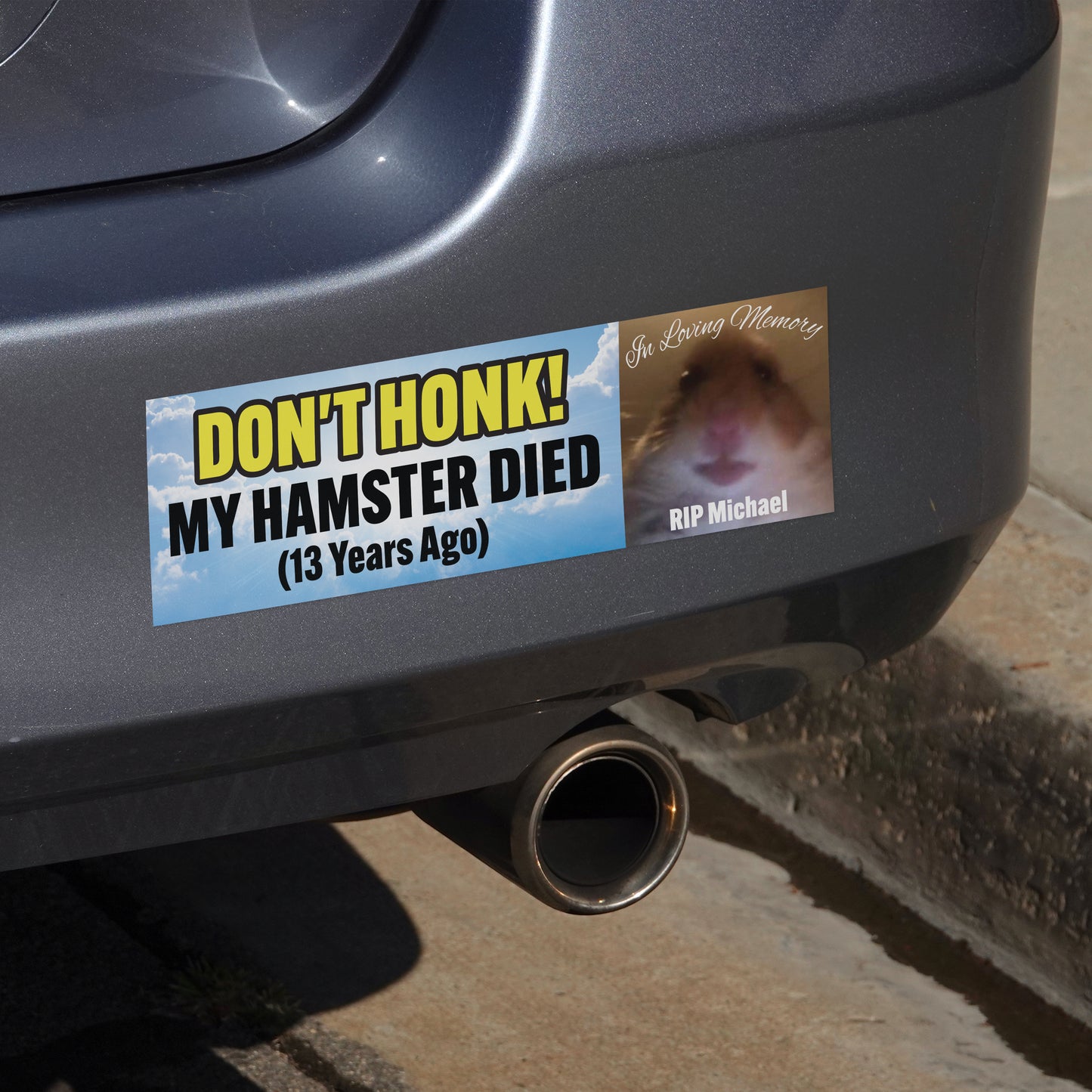 Don't Honk My Hamster Died (Bumper Sticker)