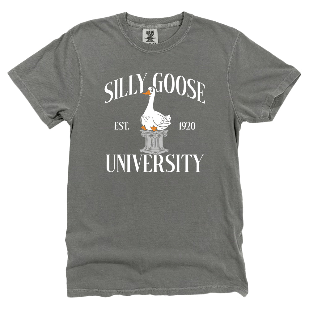 Silly Goose University