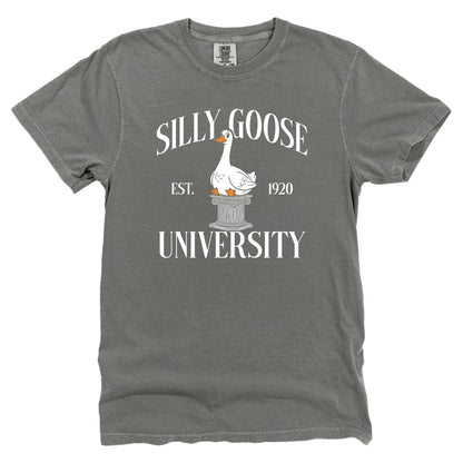 Silly Goose University