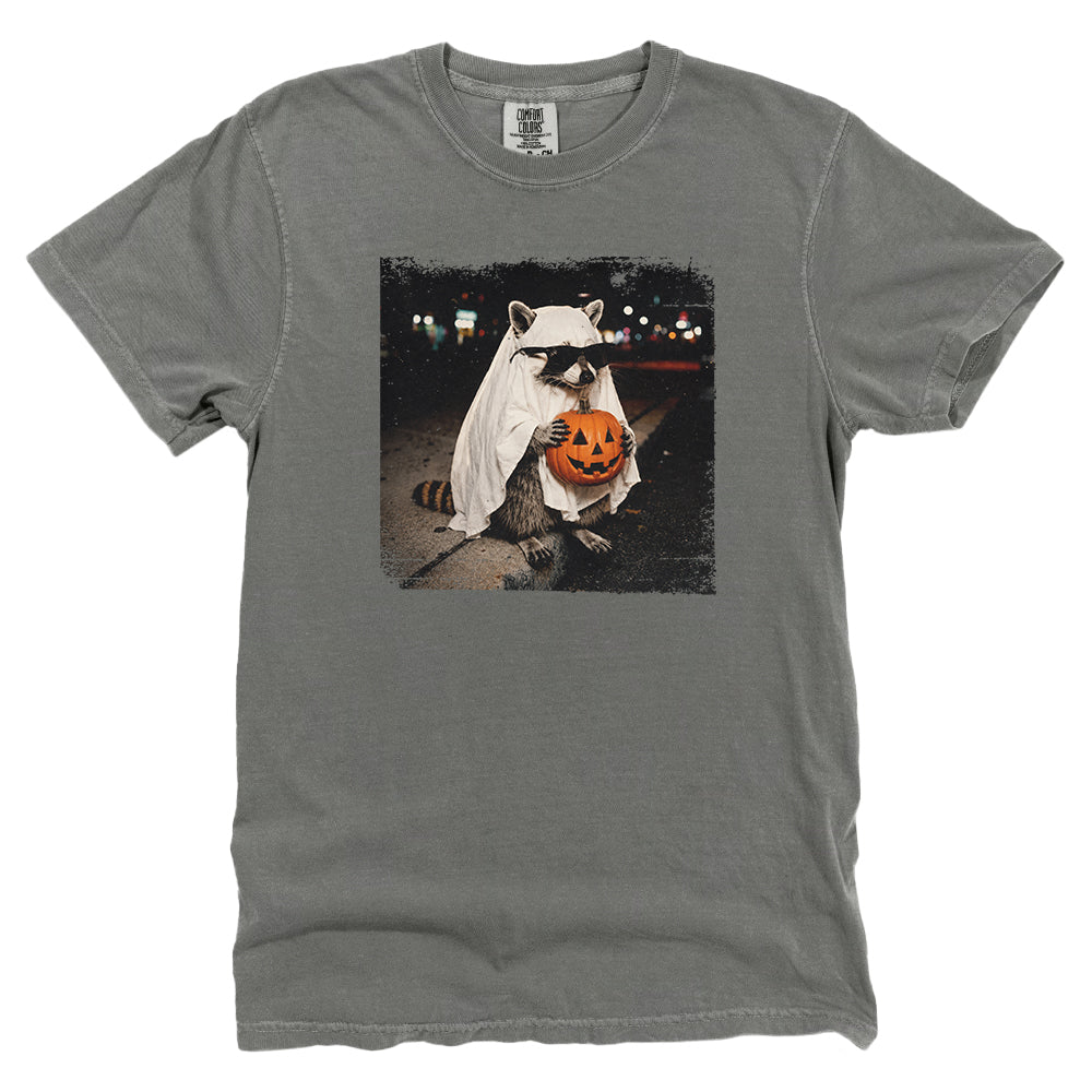 Vintage Halloween Raccoon