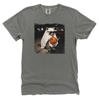 Vintage Halloween Raccoon