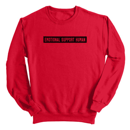 Emotional Support Human