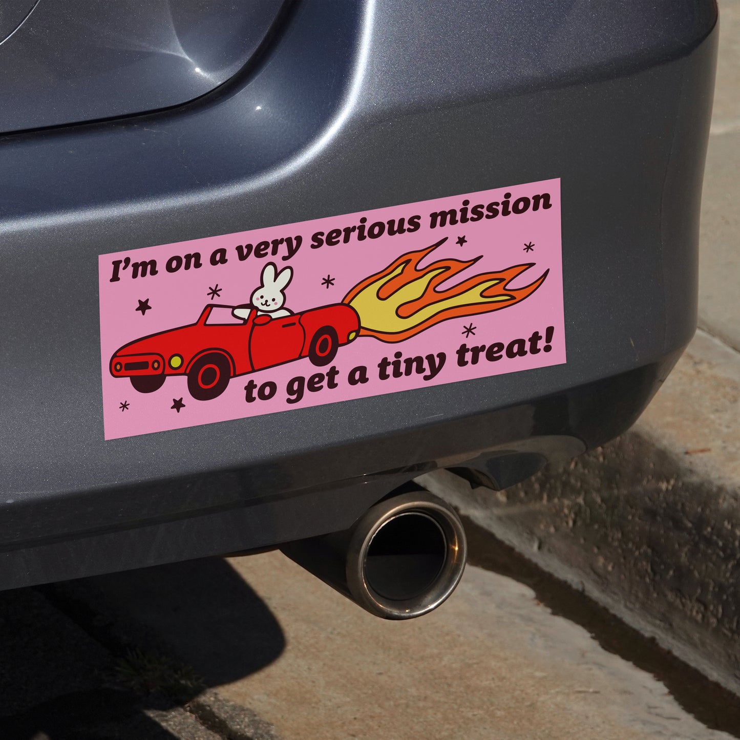 I'm On A Very Serious Mission To Get A Tiny Treat (Bumper Sticker)