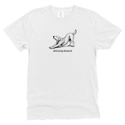 Biiiiiiiiig Stretch