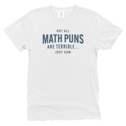 Not All Math Puns Are Terrible Just Sum
