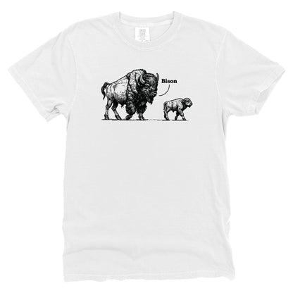 Bye Son Bison