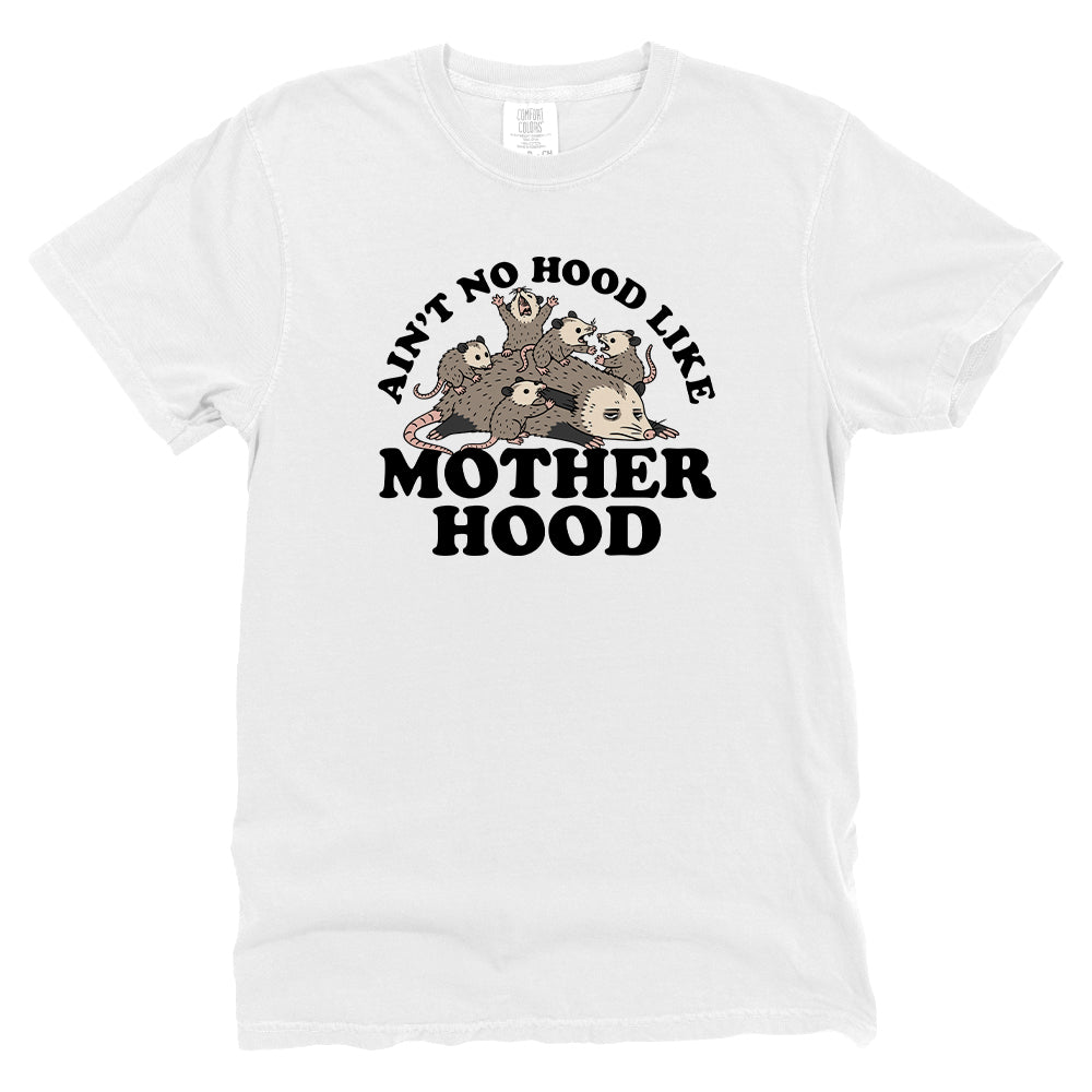 Ain't No Hood Like Motherhood