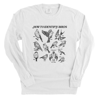 How to Identify Birds