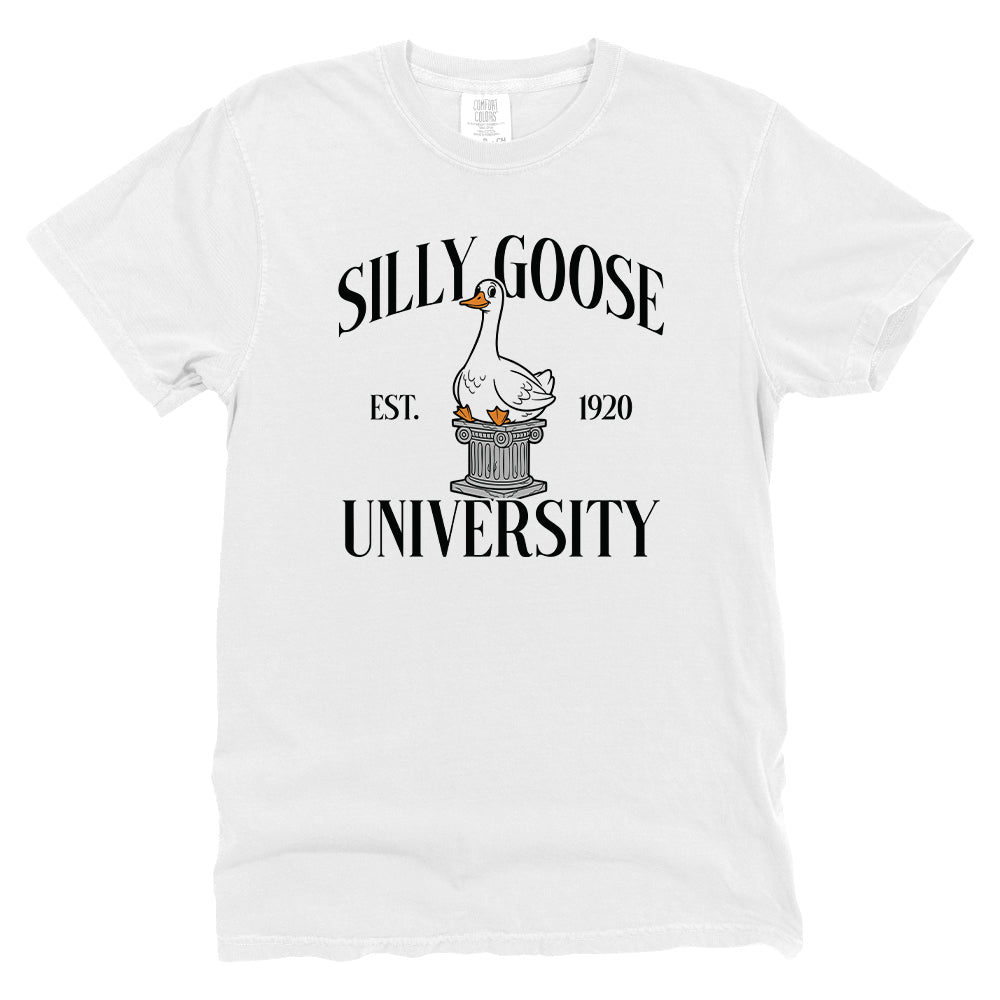 Silly Goose University
