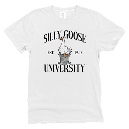 Silly Goose University