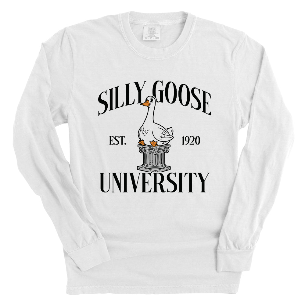 Silly Goose University