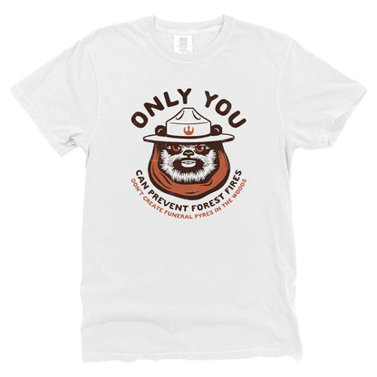 Only You Can Prevent Forest Fires Ewok