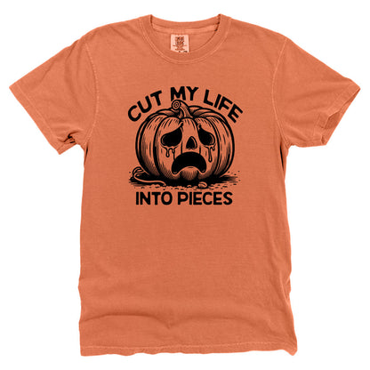 Cut My Life Into Pieces